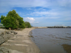 The rivermouth meets a sandy beach,with mangroves lining the beach